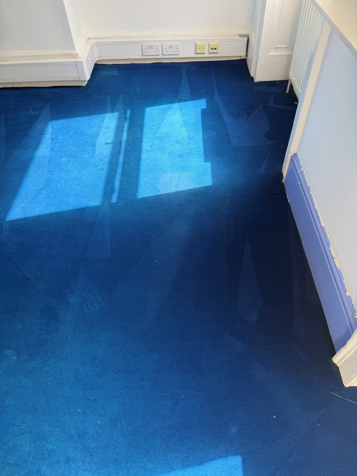 The same blue carpet after cleaning, the debris lifted and the colour restored to a deep even blue
