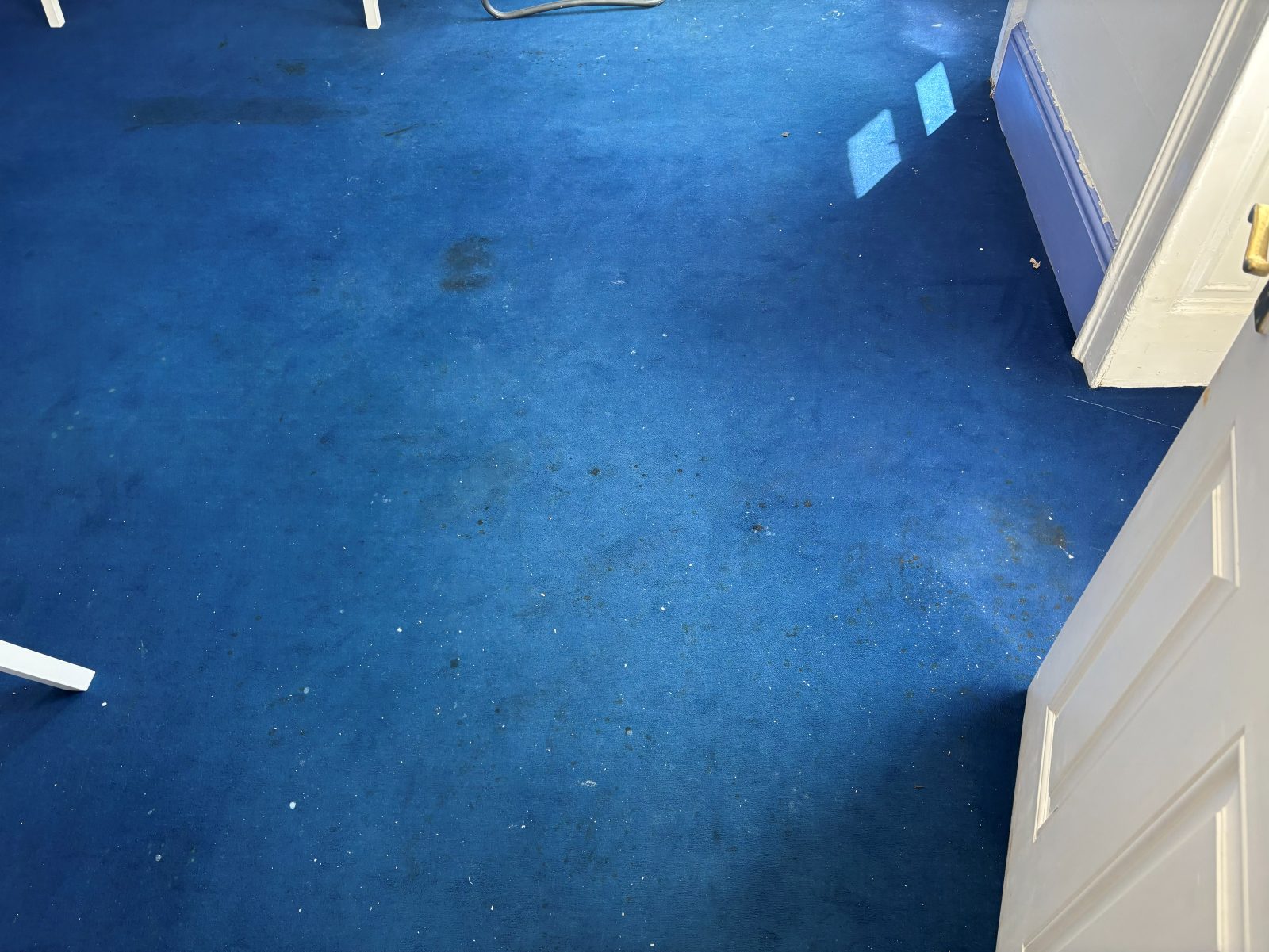 Blue carpet before cleaning, dulled and patchy with scattered debris and dark soiling across the pile