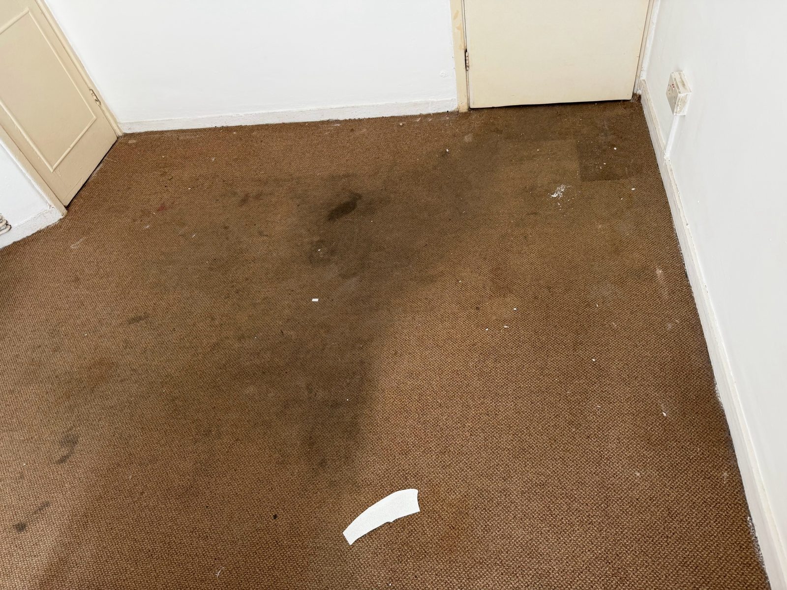 Brown carpet before cleaning, with heavy dark staining through the middle of the room and litter on the pile