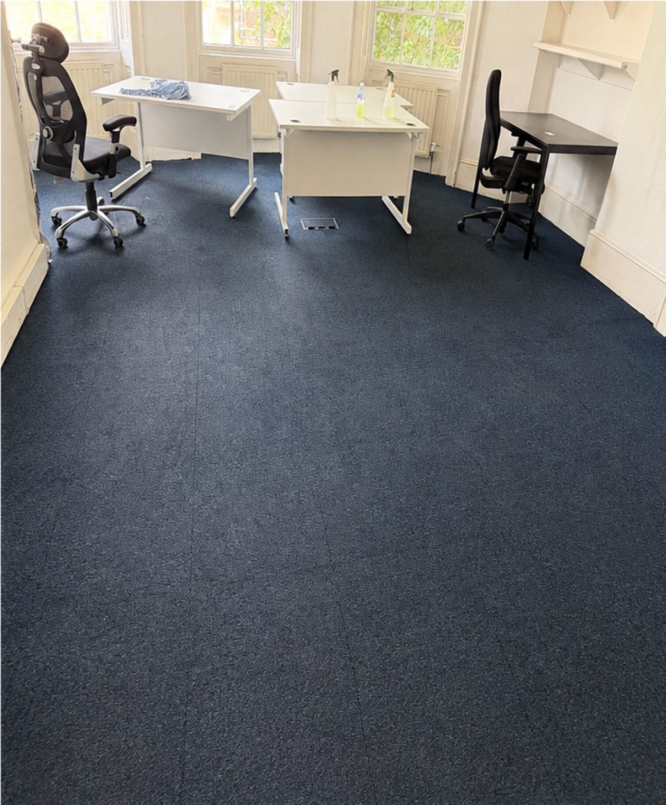 The same office carpet after hot-water extraction, the marks gone and the blue colour even across the whole floor