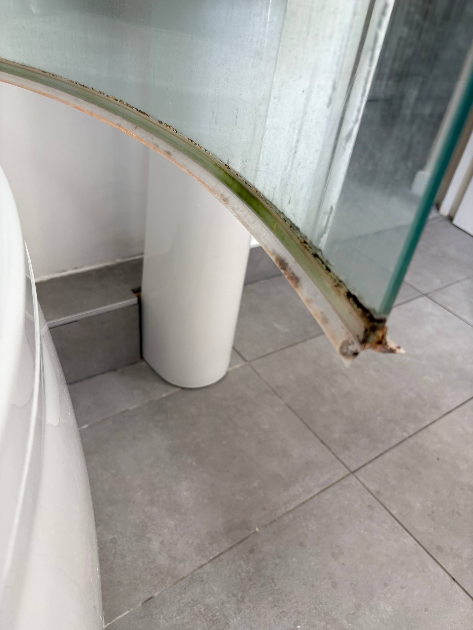 Shower screen seal before cleaning, with visible staining along the edge