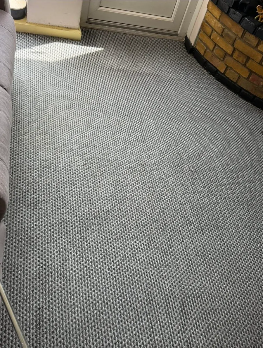 Carpet Cleaning — after cleaning