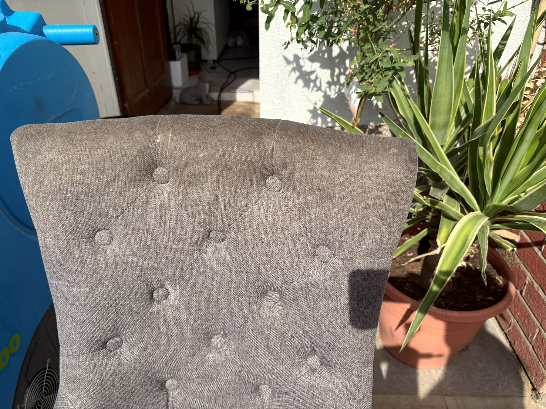 The buttoned back of a grey upholstered chair before cleaning, the fabric dull and flecked with lint in direct sunlight
